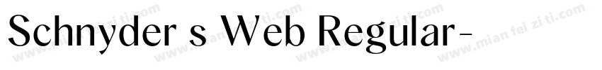 Schnyder s Web Regular字体转换